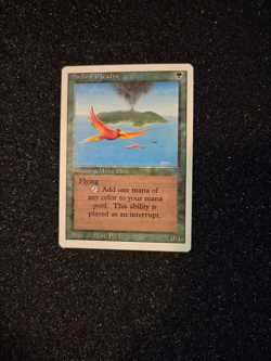 Magic the Gathering ~ MTG ~ 1x Birds of Paradise Pack Fresh Mint! REVISED - Image 1