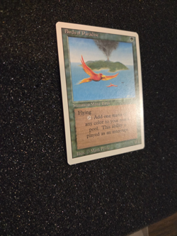 Magic the Gathering ~ MTG ~ 1x Birds of Paradise Pack Fresh Mint! REVISED - Image 3