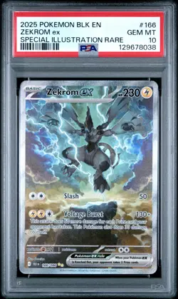 ZEKROM EX 2025 POKEMON BLACK EN SPECIAL ILLUSTRATION SIR #166 PSA 10 GEM MINT - Image 1