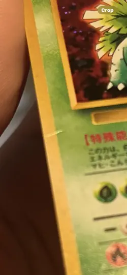 1999 Pokemon Japanese VENUSAUR Holo #3 Bulbasaur intro pack - Image 3