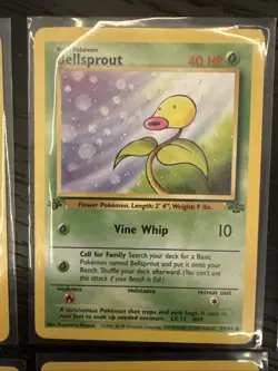 Bellsprout 49/64 Jungle Regular Four 1st Edition Pokemon Card and One Common - Image 3