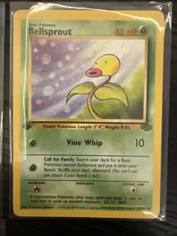 Bellsprout 49/64 Jungle Regular Four 1st Edition Pokemon Card and One Common - Image 4