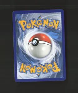 Torkoal V 024/202 Sword & Shield Ultra Rare Holo Pokemon Card NM - Image 2