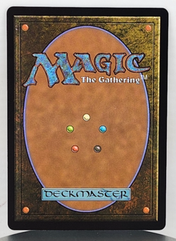 Firion, Swordmaster - Sram, Senior Edificer (Showcase) - FINAL FANTASY: Through - Image 2