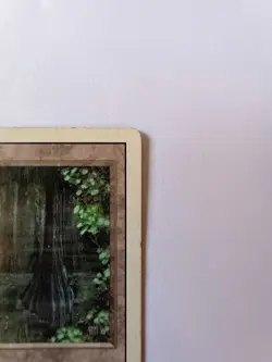 Magic the Gathering 1994 Bayou Revised Edition Rare Dual Land English see pics - Image 3