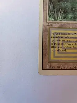 Magic the Gathering 1994 Bayou Revised Edition Rare Dual Land English see pics - Image 5