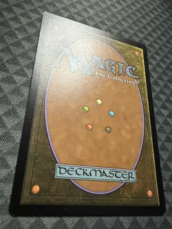 MTG Ecological Appreciation #317 Extended Art Mythic Rare Strixhaven - Image 5