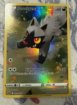 POKEMON TCG Poochyena GG33/GG70 Crown Zenith: Galarian Gallery Holo - Image 1