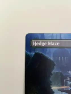MTG Hedge Maze (Borderless) Murders at Karlov Manor Regular Card NM Condition - Image 3