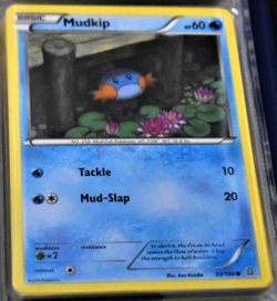 Mudkip # 33/160 XY Primal Clash Set Pokemon Trading TCG Game Cards NM/MINT - Image 1