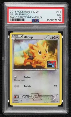 Crosshatch Holo - Lillipup Pokemon Black & White Pokemon League Promo PSA 5 - Image 1