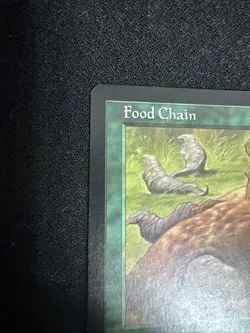 MTG Food Chain Mercadian Masques Card 246/350 Regular Rare MP Condition - Image 5