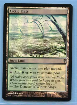MTG: Coldsnap: Arctic Flats: FOIL - Image 1