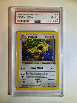 Pidgeot 08/64 Jungle Holo Rare (1999) Pokemon TCG PSA Grade 6 - Image 1