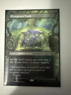 Overgrown Tomb (Borderless) Lorwyn Eclipsed Regular - Image 1
