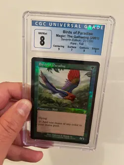 Birds of Paradise 7th Edition Foil - Near Mint - Graded CGC 8 - Image 4