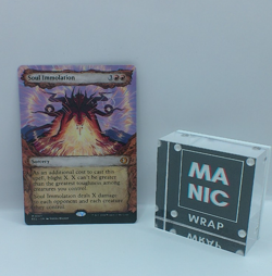 Soul Immolation NM #321 Regular MTG Lorwyn Eclipsed - Image 1