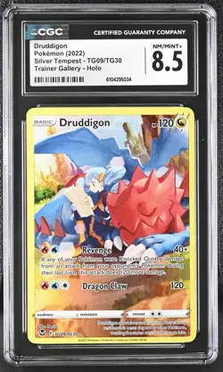 Pokemon Druddigon TG09/TG30 Swsh12: S&S - Silver Tempest Trainer Gallery Holo - Image 1