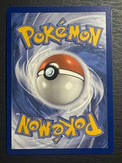 Chatot 181/162 Pokemon TCG Temporal Forces Illustration Rare Foil Card Near Mint - Image 2