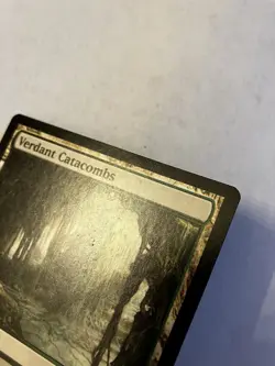 Verdant Catacombs Magic The Gathering MTG Zendikar - Image 3