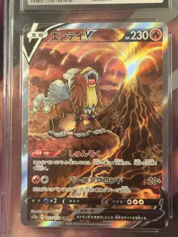 CGC 9.5 Entei V 213/172 Special Art Rare Japanese VSTAR Universe Pokemon Card - Image 4