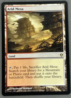 ARID MESA --- MTG -- ZENDIKAR --- NM - Image 1