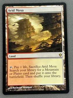 ARID MESA --- MTG -- ZENDIKAR --- NM - Image 2