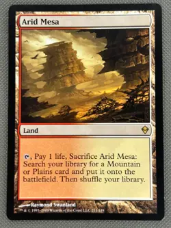 ARID MESA --- MTG -- ZENDIKAR --- NM - Image 4