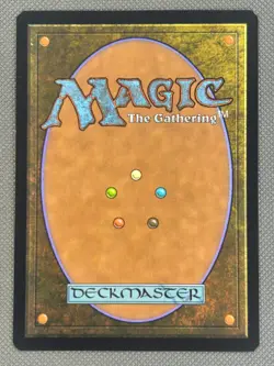 Misty Rainforest - NM - Zendikar ZEN - MTG - Image 4