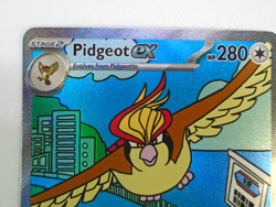 Pidgeot ex 225/197 Pokemon Special Illustration Rare SIR Obsidian Flames Card NM - Image 5