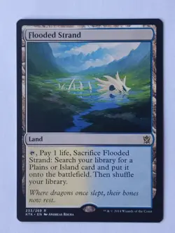 4x x4 Flooded Strand / Greve inondee tarkir MTG NM - Image 1