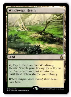Windswept Heath 248 Khans of Tarkir Normal LP - Image 1