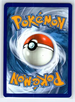 Charmander SWSH092 - Pokemon Sword & Shield Promo - Promo Holo - NM - Image 2