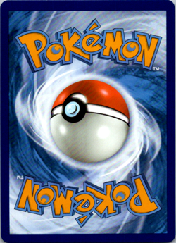 Raihan TG27/TG30 - Trainer Gallery Full Art Card - Pokemon Silver Tempest - NM/M - Image 2