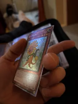 Yu-Gi-Oh! Dandylion RA03-EN211 Platinum Secret Rare 1st Edition - Image 3