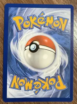 POKEMON TCG Turtwig GG31/GG70 Crown Zenith: Galarian Gallery Holo - Image 2