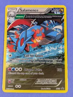 Salamence - XY59 - Full Art Promo XY Promos - Pokemon Card - DMG - Image 1