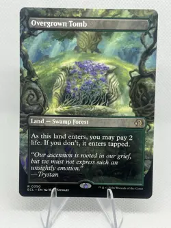 Overgrown Tomb (Borderless) Lorwyn Eclipsed MTG Foil Near Mint - Image 1