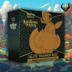 Shining Fates Pokemon ETB Elite Trainer Box - Image 1