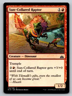 Sun-Collared Raptor Regular - Image 1