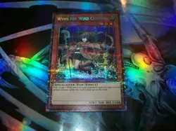 Wynn the Wind Charmer 1st Edition Starlight Rare CH02-EN003 Yu-Gi-Oh! - Image 1