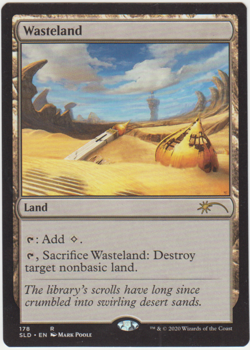 1x Wasteland MTG Secret Lair Lightly Played - Image 1