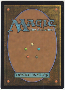 1x Wasteland MTG Secret Lair Lightly Played - Image 2