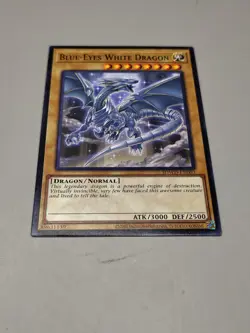Blue-Eyes White Dragon SDWD-EN003 nm - Image 1