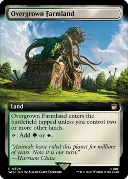 MTG Overgrown Farmland (Extended Art) - 506 / English / Near Mint - Image 1