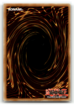 D.D. Warrior Lady DCR-027 1st Edition Super Rare Dark Crisis LP - Image 2