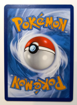Pokemon TCG Squawkabilly Ex Paldea Evolved 264/193 Special Illustration Rare - Image 4