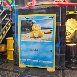 Psyduck Evolving Skies Pokemon TCG 024/203 Sword & Shield SWSH07 Common - Image 2