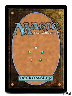 Changeling Outcast (Rainbow Foil) - [Secret Lair Series] MTG Magic - NM 💀 - Image 2