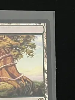 Rootbound Crag Foil Premium Deck Series Magic The Gathering - Image 3